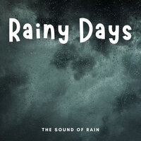 Harmonious Showers - Rain Sounds ACE & Rain Wonder & Recorder Rain