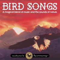 Warblers and Wildflowers - Nature's Harmony