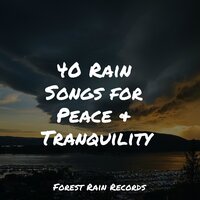 Woods, Dawn, Birds - Sleeping Baby Songs & Sleep Sounds Rain & Fabricantes De Lluvia