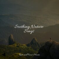 Chill-time Zealot - Easy Sleep Music & Chillout Lounge & Deep Sleep Systems