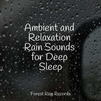 Forest, Night, Frogs - Nature Soundscape & Sleep Makers Samples & Binaural Beats Brainwave Entrainment