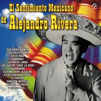 Lagrimas del Alma - Alejandro Rivera