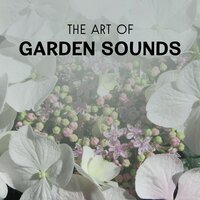 Music for Quiet Sleep (Babbling Brook) - Harmony Nature Sounds Academy