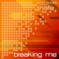 Breaking Me - Rob Nunjes & NATE