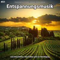 Musik für Geist und Körper - Entspannungsmusik & Schlafmusik & Entspannungsmusik Lilly Hanck