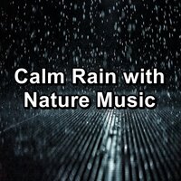 Calm Rain To Help with Insomnia To Loop for 10 Hours - Rain Sounds Sleep & Relaxing Rain & Rain Radiance