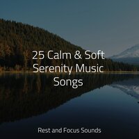 Wrapped in a Hug - Massage & Meditação Yoga & Pink Noise