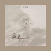 迟来 - 怪阿姨