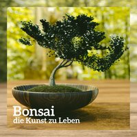 Guitar by the Sea - Entspannende Musik Wellness