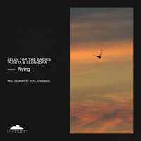 Flying - Jelly For The Babies & Plecta & Eleonora
