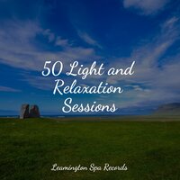 Clear Mind - Rain Storm Sample Library & Water Sounds for Sleep & Sounds of Nature for Deep Sleep and Relaxation