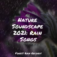 High Ocean Waves - Heavy Rain Sounds & Rain Sounds Factory STHLM & Musica Para Dormir y Sonidos de la Naturaleza