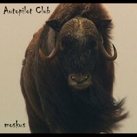 Free Ride - Autopilot Club