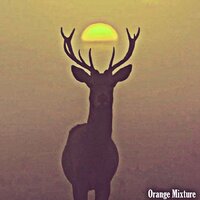 Orange Mixture - DJ Isaac