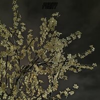 keep warm - purity