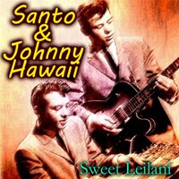 Sea Shells - Santo