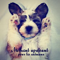 Partie de la famille - Zone de Détente