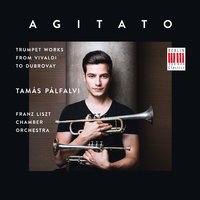 Berenice - Tamás Palfalvi & Franz Liszt Chamber Orchestra & Franz Liszt Chamber Orchestra & Tamás Palfalvi