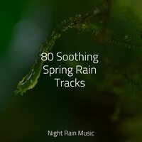 Soothing Ocean Sounds - mindfulness meditation world & Natural Rain Sounds for Sleeping & Rain Recorders