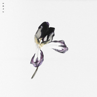 Fade - Gill Chang & Aviella
