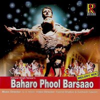 Unse Mili Nazar - Sadhna Sargam