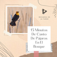 Las olas de la naturaleza de la Selva - Recarga de la Tarde & Sonidos de la Naturaleza para Dormir & Sonido Del Bosque y Naturaleza
