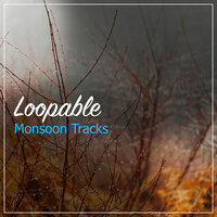 Rain for Bedtime - Ambient Forest, Rain Sounds ACE, Elements of Nature & Ambient Forest & Rain Sounds ACE & Elements of Nature