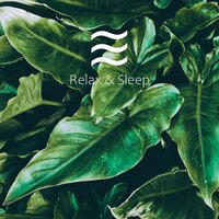 Placid Baby Dreaming Deep Noise - Shushers Noise for Baby
