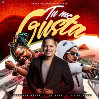 Tu Me Gusta - Gregoris Matos & El Boke & Kaida Cash