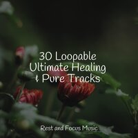 Embers - Massage Music & Music For Absolute Sleep & Asian Zen: Spa Music Meditation