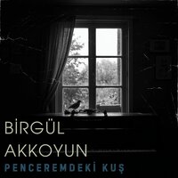 Adım Adım - Birgül Akkoyun