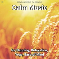 Calm Music, Pt. 13 - Relaxing Music by Sibo Edwards & Yoga & Relaxing music