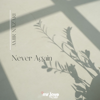 Never Again - Amir Nazari