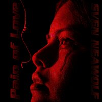 Breaking My Heart - Sven Neawolf
