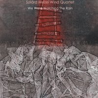 Néztük Az Esőt / We Were Watching the Rain - Szilárd Mezei & Bogdan Ranković, Branislav Aksin & Kornél Pápista
