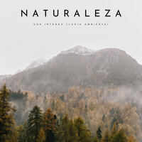 Lluvia Ambiente - Naturaleza FX & Cascada de Lluvia & Lluvia Relajante