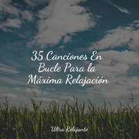 Encontrar La Paz - Meditação Maestro & Música a Relajarse & Dormir