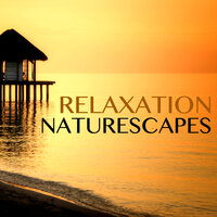 Green Grass Stems - Naturescapes for Mindfulness Meditation