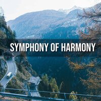 Tranquil Symphony - Espiritual Renovación