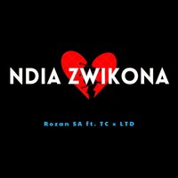 Ndia Zwikona - Rozan SA & TC & LTD