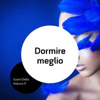 Musica pacifica - Pioggia calma - Suoni Della Natura IT