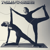 Instrumentalmusik - Tiefenentspannung Akademie & Innere Ruhe Akademie & Meditation Anfänger Musik Akademie