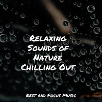 Echoes of the Universe - Chillout Lounge & Sleep Waves & Musica Reiki