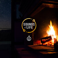 Fire and Rain Outside, Pt. 2 - Sounds Of Life