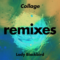 Collage - Lady Blackbird & Greg Foat