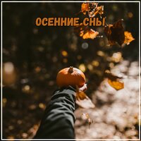 Звуки, как дождь - Музыка для холода & Мелодии проявления