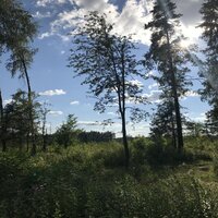 Istoriya Sna - Razxca