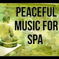 Essential Spa Relaxation - Spa Healing Collection