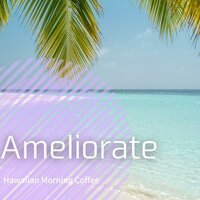 Maui Hawaiian Style - Ameliorate