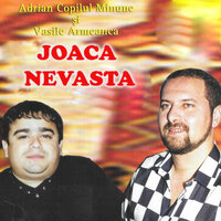 Ridica-ti fusta - Adrian Copilul Minune & Vasile Armeanca
